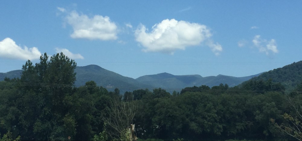 6586A81F-2D29-43F8-ACED-9F5A04CD89BD